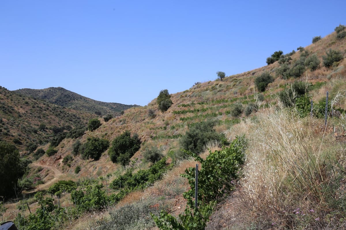 2-slaapkamer finca in Totalán, Málaga in Totalán - foto 18
