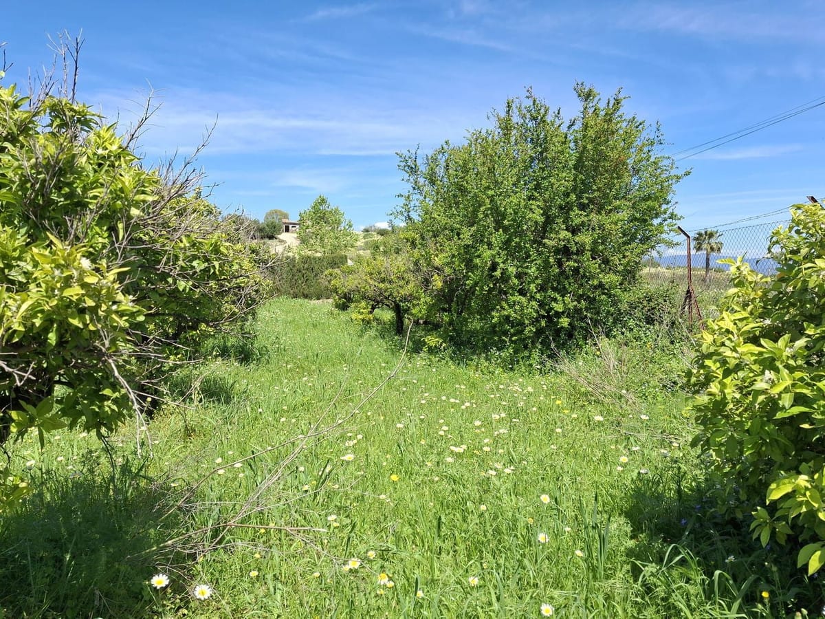 Kavel te koop in Alhaurín de la Torre in Alhaurín de la Torre - foto 15