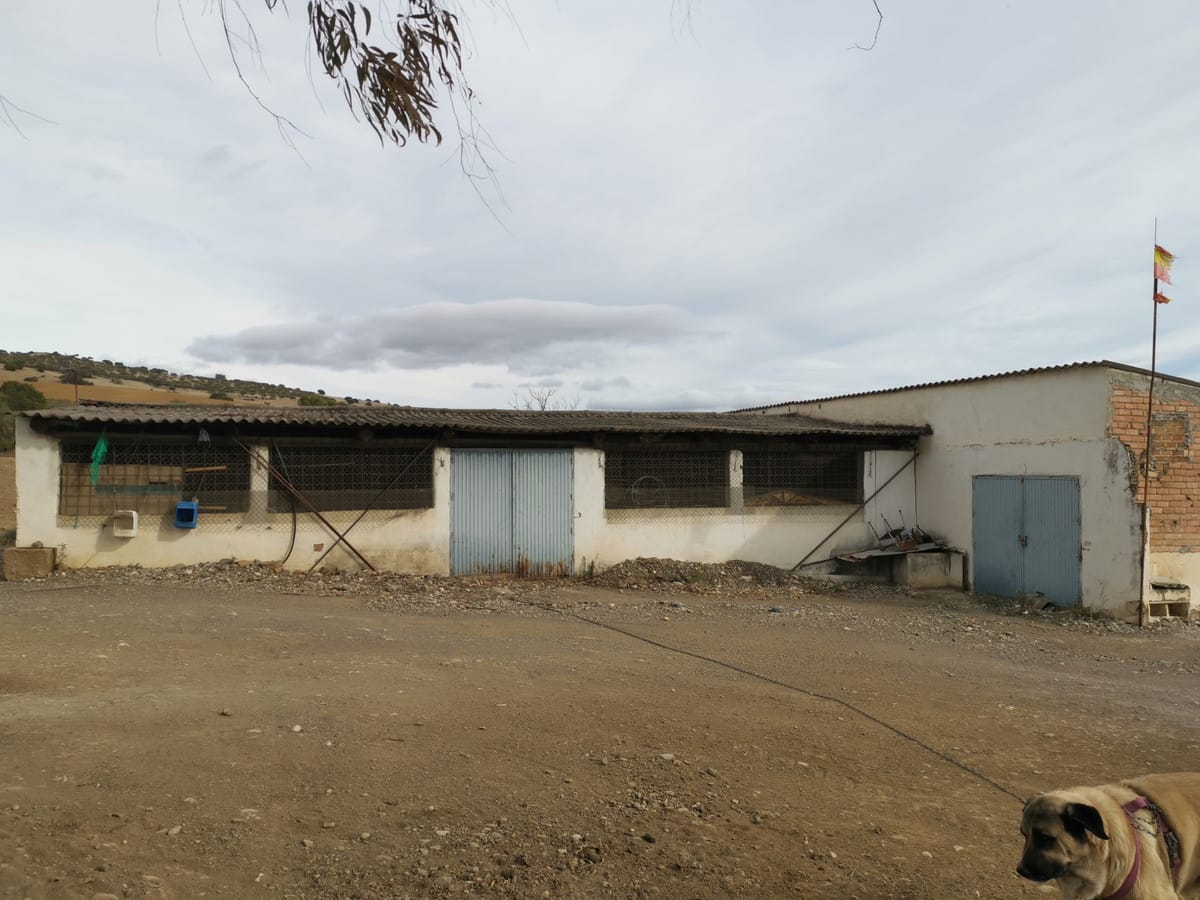 Plot in Coín in Coín - foto 18