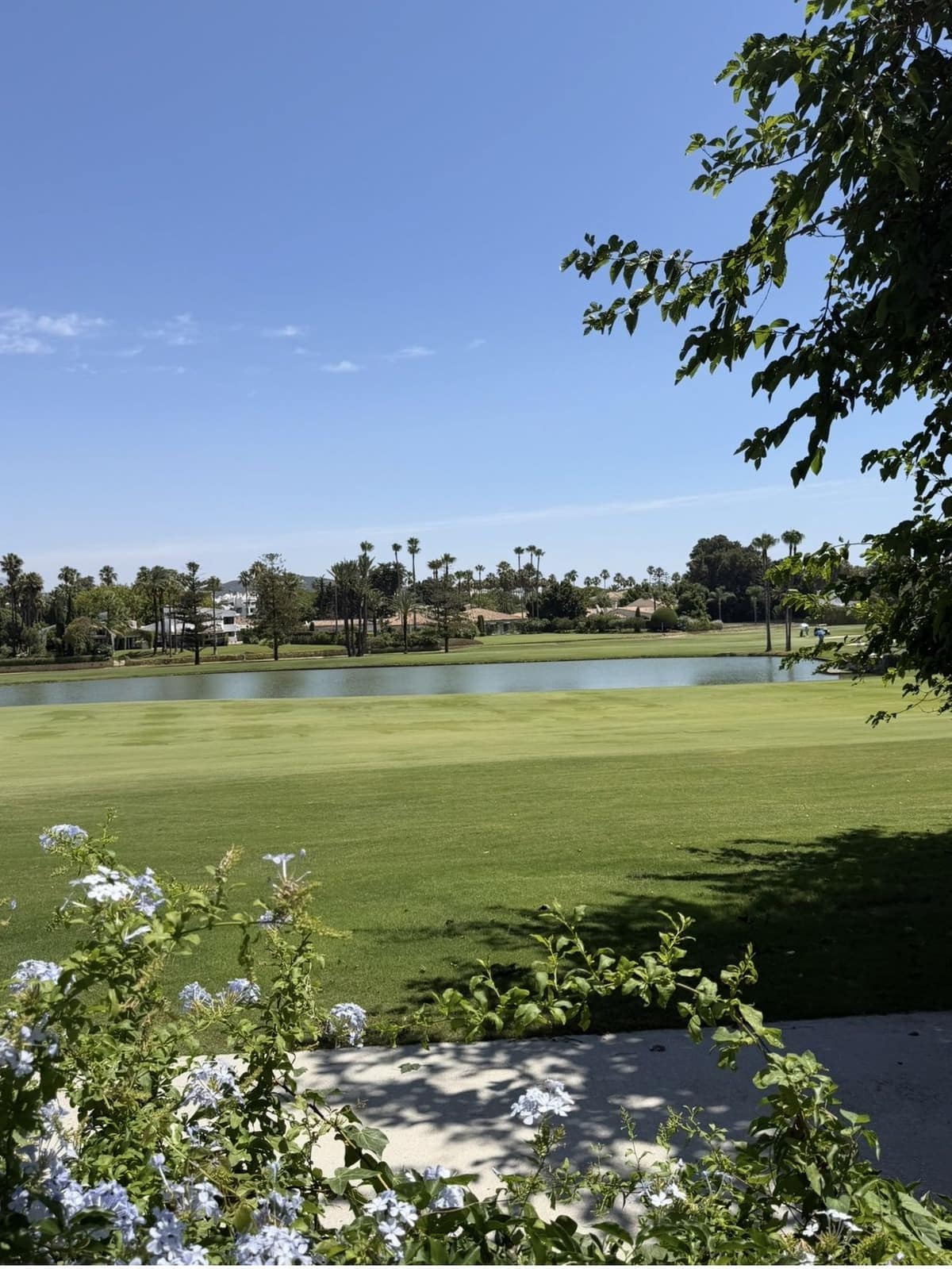 5-slaapkamer villa in Sotogrande Costa – frontlijn golf en herontwikkelingskans in Sotogrande Costa - foto 8