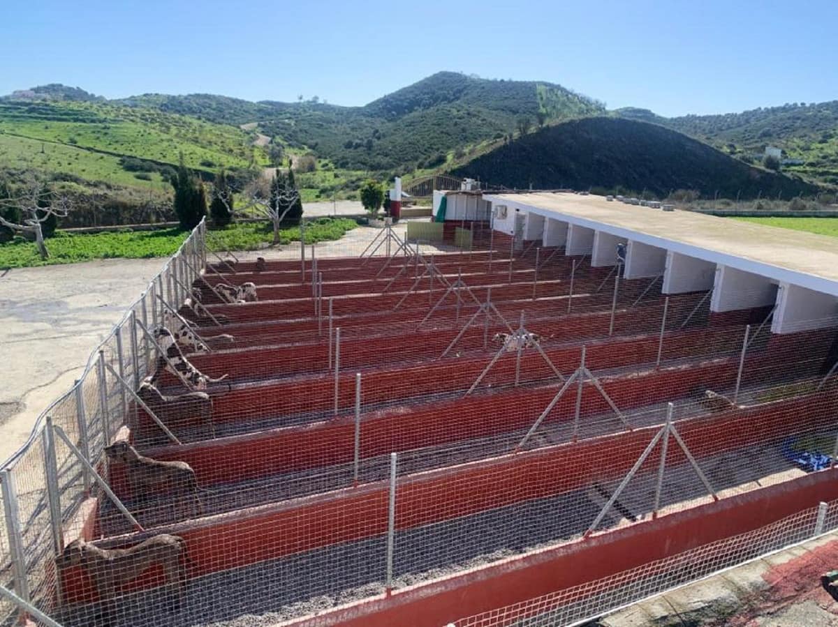 Plot in Mijas in Mijas - foto 7