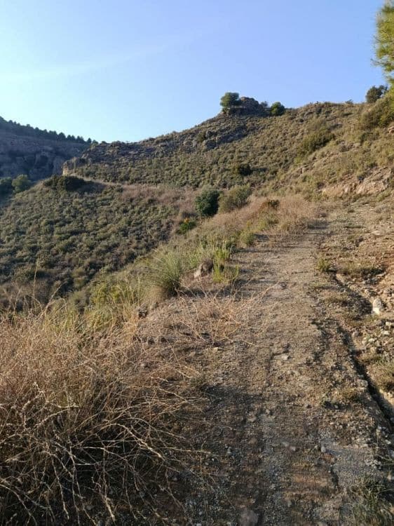 Kavel in Álora in Alora - foto 5