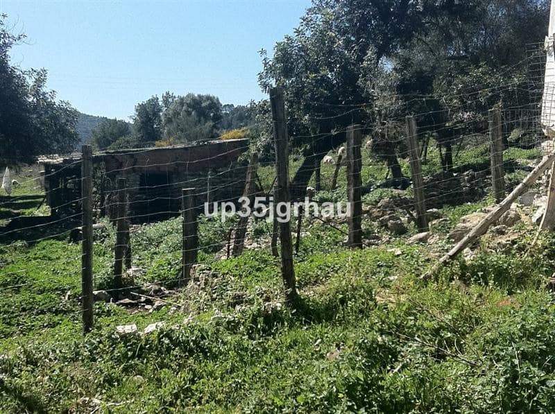 Kavel te koop in Gaucín, Málaga – perceel van 360.000 m² in Gaucín - foto 5