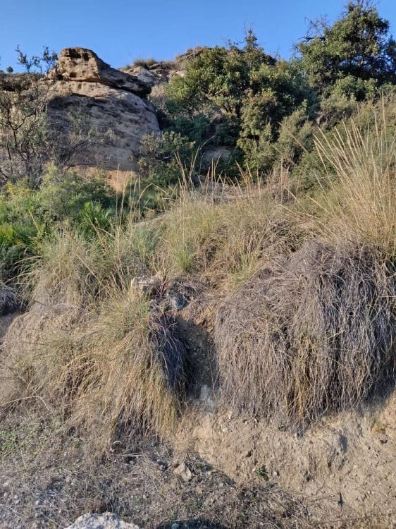 Kavel in Álora in Alora - foto 12