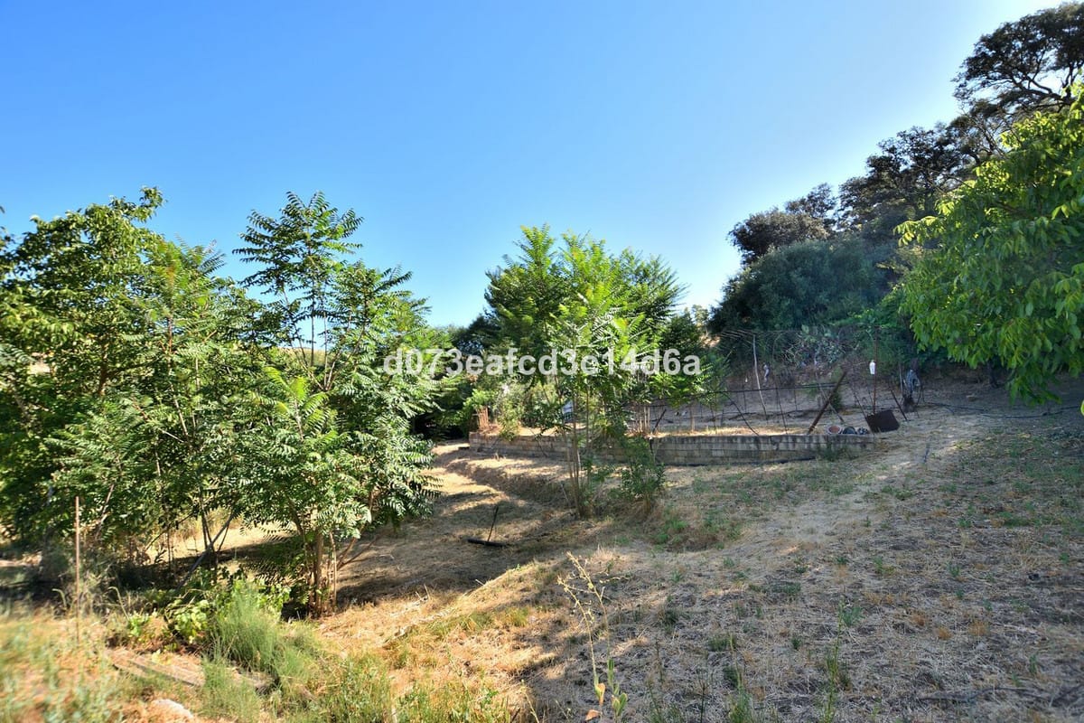Finca met geïntegreerde woning en pluimveehouderij in Arriate (Málaga) in Arriate - foto 15