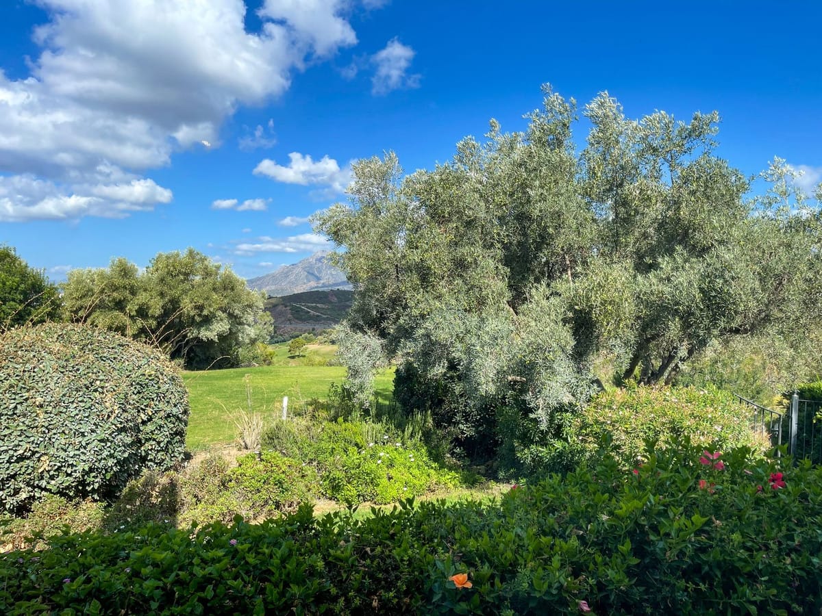 7-slaapkamer villa in El Rosario, Marbella Oost in El Rosario - foto 8