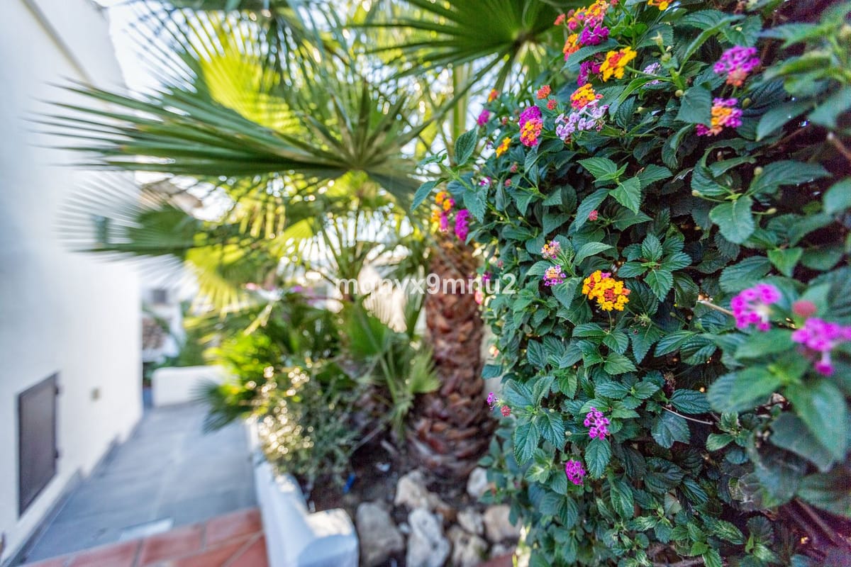 5-slaapkamer villa in El Chaparral in El Chaparral - foto 6