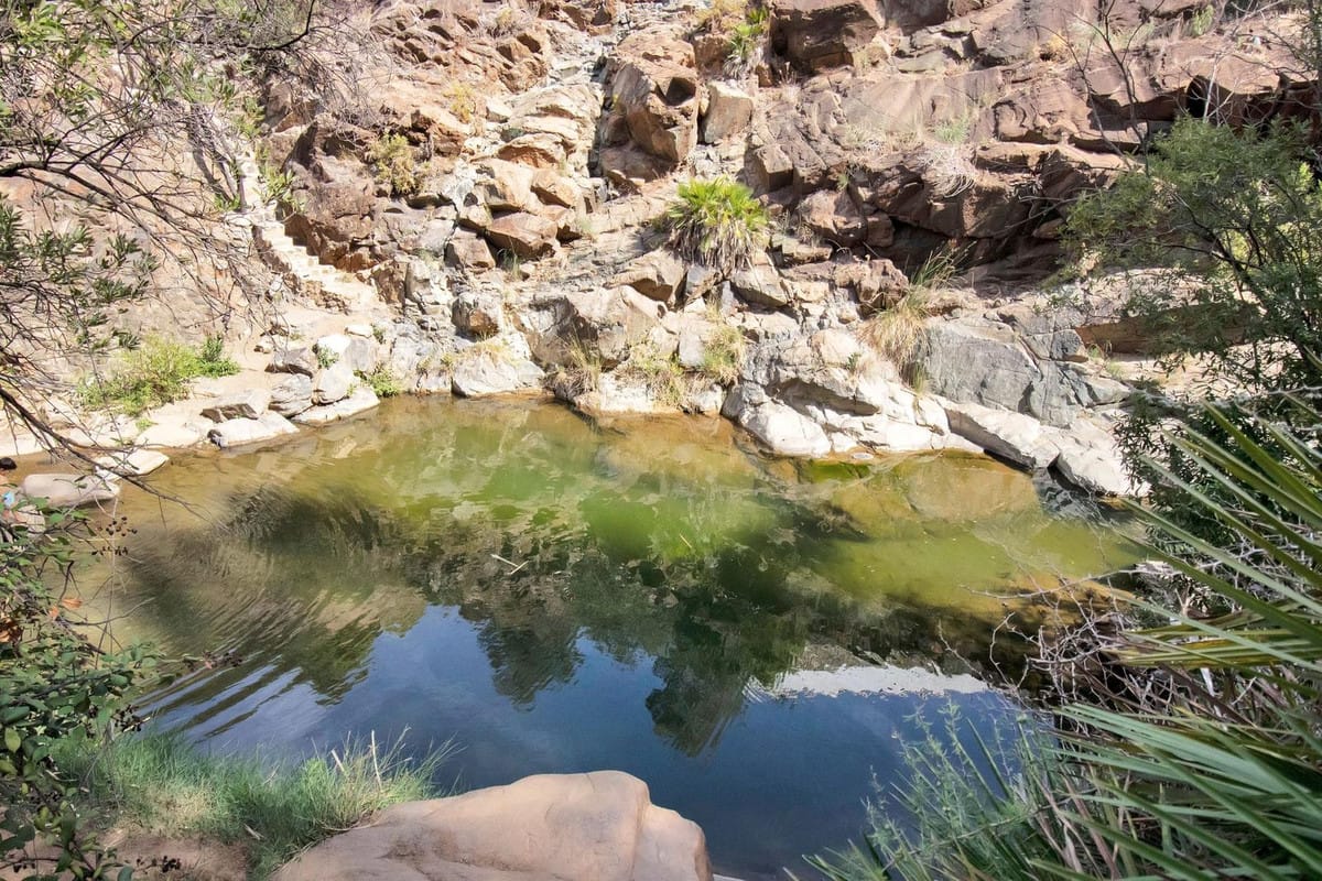 Finca met 3 slaapkamers in Ojén in Ojén - foto 4