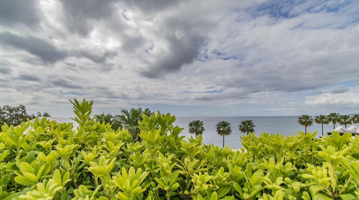 Penthouse met 5 slaapkamers aan het strand in Estepona in Estepona - foto 17