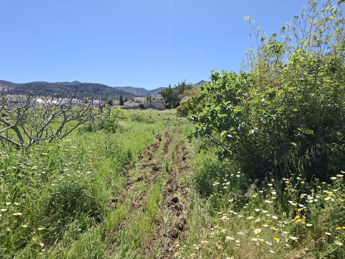 Kavel te koop in Alhaurín de la Torre in Alhaurín de la Torre - foto 7