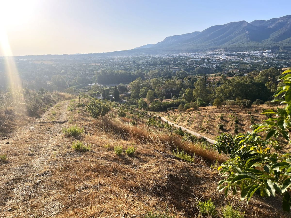 Kavel van 18.000 m² met avocado- en fruitboomgaard in Alhaurín el Grande in Alhaurín el Grande - foto 14