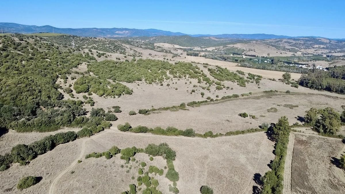 Uitzonderlijk landbouwlandgoed te koop in Sotogrande, Andalusië in Sotogrande - foto 13