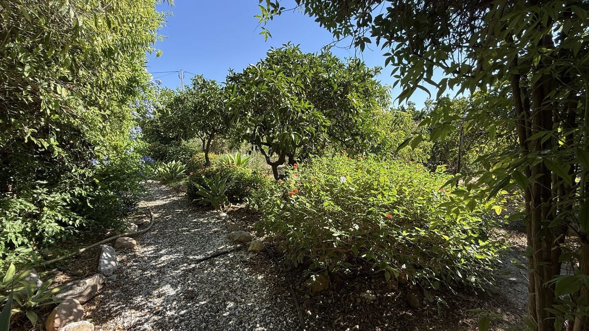 4-slaapkamer finca in Alhaurín el Grande, Málaga in Alhaurín el Grande - foto 8