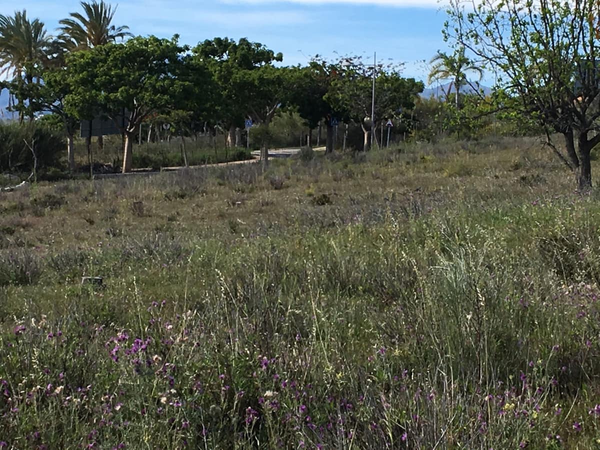 Kavel te koop in Cancelada in Cancelada - foto 2