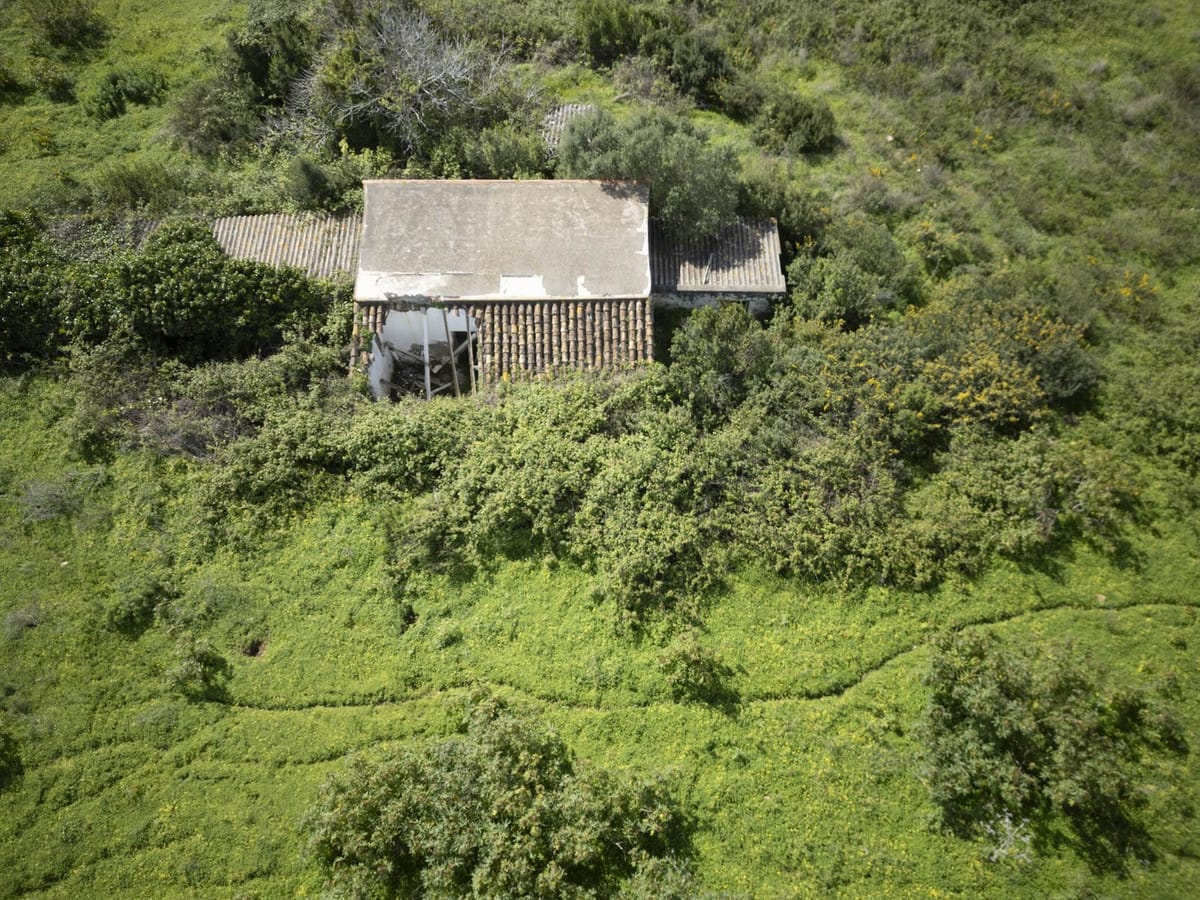 Groot rustiek perceel met potentieel in La Duquesa (Manilva) in La Duquesa - foto 4