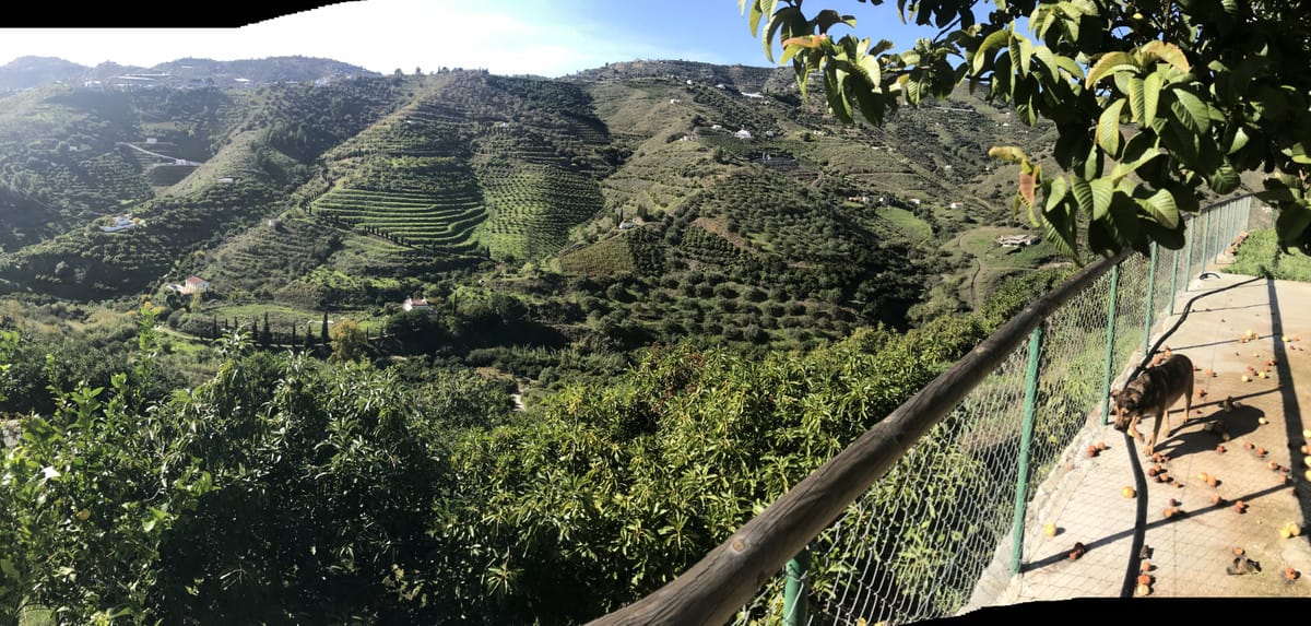 2-slaapkamer finca in Frigiliana in Frigiliana - foto 13