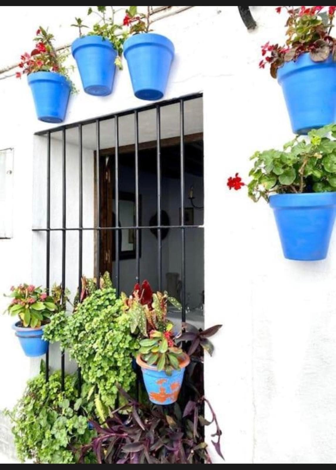Huis met 4 slaapkamers in Istán in Istán - foto 19