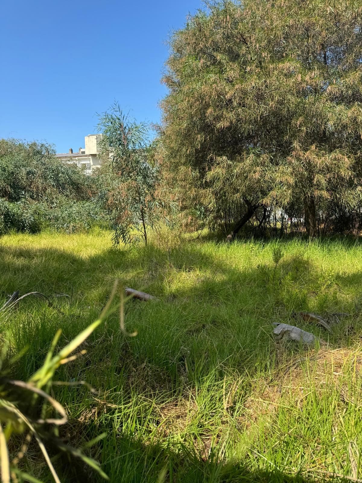 Plot in Atalaya in Atalaya - foto 2