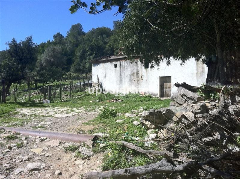 Kavel te koop in Gaucín, Málaga – perceel van 360.000 m² in Gaucín - foto 14