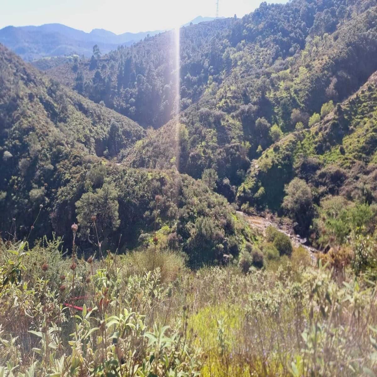 Kavel in Monda in Monda - foto 3