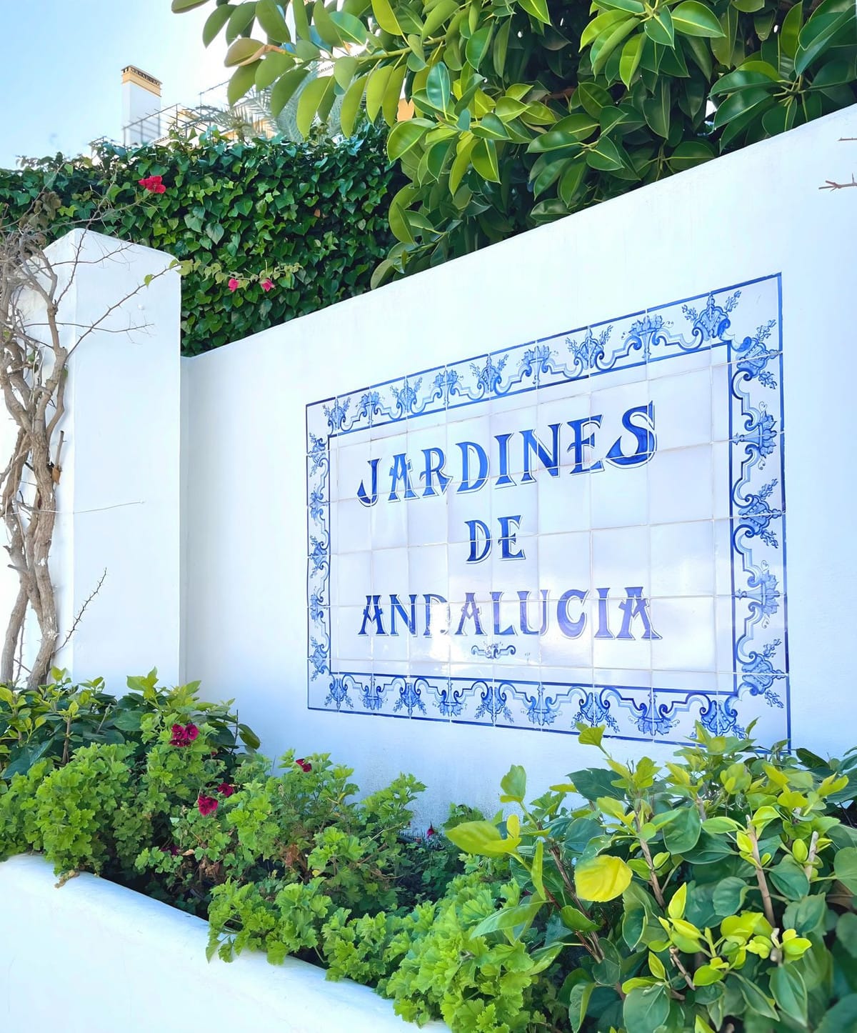 Drie-slaapkamerappartement op de begane grond met privé tuin in Nueva Andalucía in Nueva Andalucía - foto 3