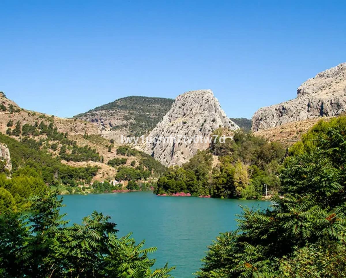 Kavel in Málaga in Málaga - foto 5