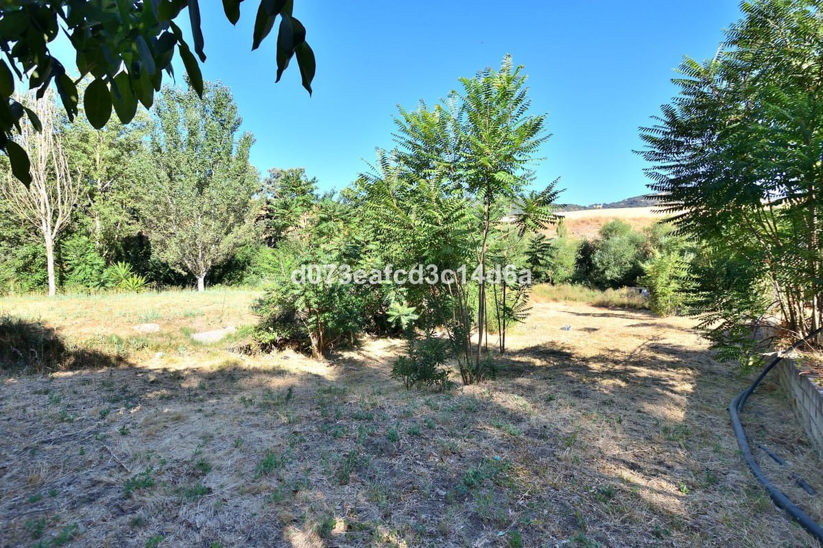 Finca met geïntegreerde woning en pluimveehouderij in Arriate (Málaga) in Arriate - foto 14