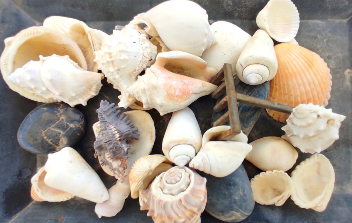 3-slaapkamer villa in Coín in Coín - foto 18