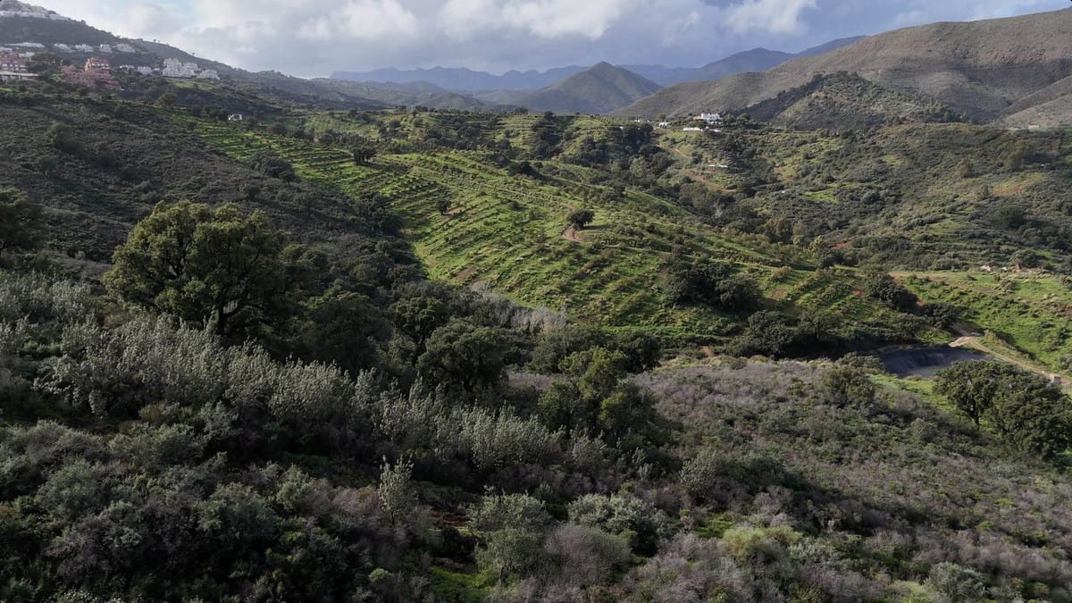 Kavel te koop in La Cala Golf, Málaga in La Cala Golf - foto 10