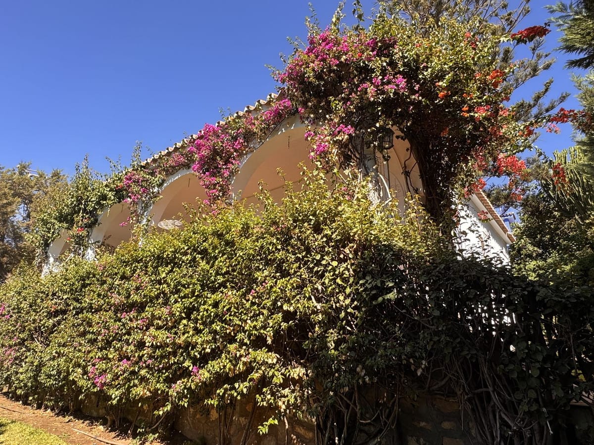 3-slaapkamer villa in Marbesa in Marbesa - foto 9