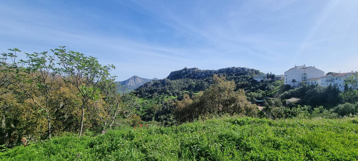 Kavel in Gaucín met bergzicht – ontwikkelingskansen in Gaucín - foto 12