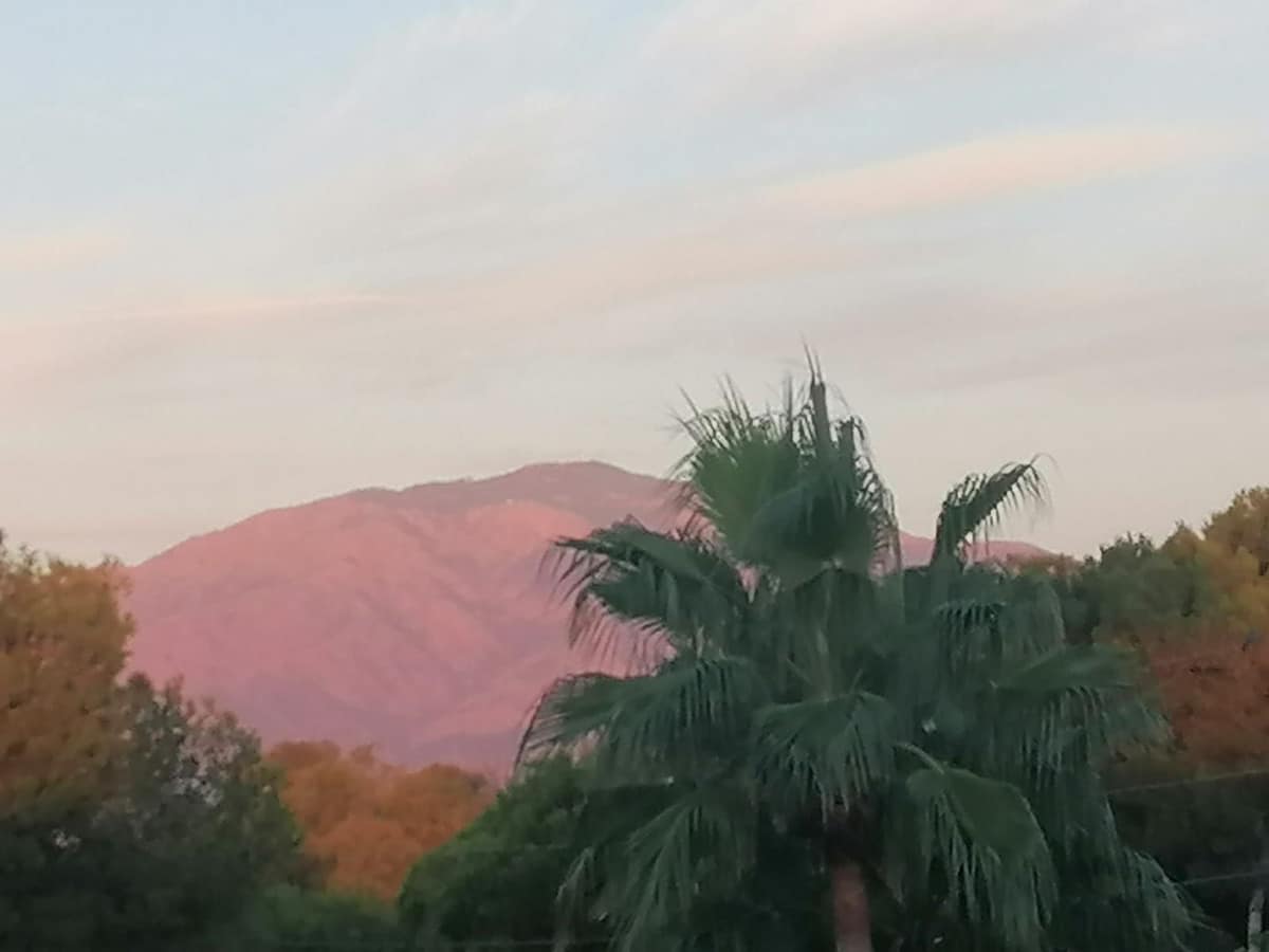 Appartement met 1 slaapkamer in El Paraiso, Málaga in El Paraiso - foto 20