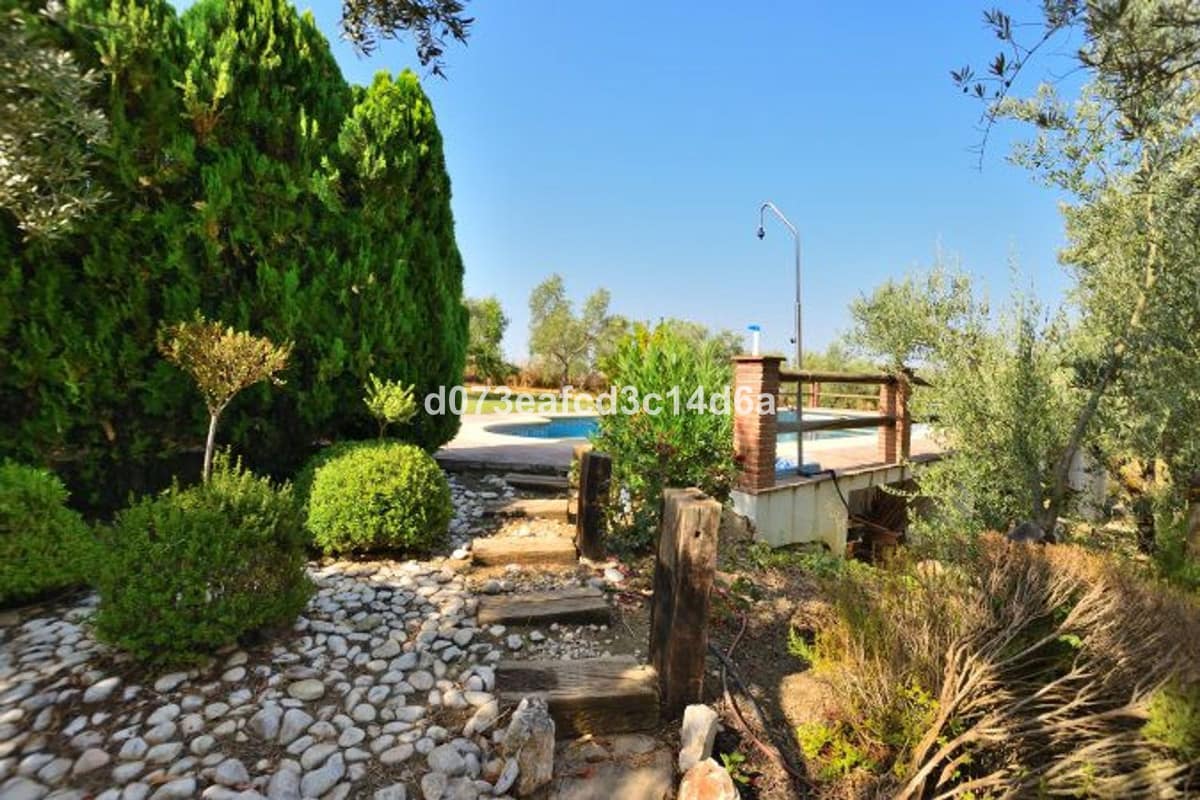 5 bedroom House in Arriate in Arriate - foto 14