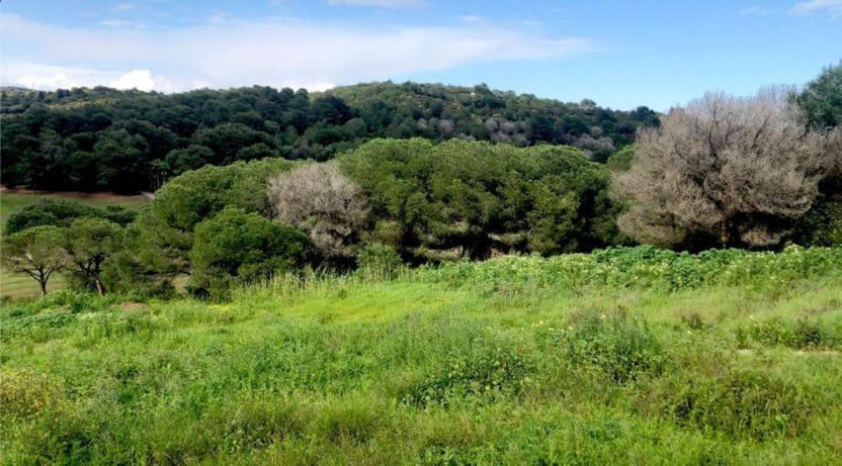 Kavel in Sotogrande, Costa del Sol in Sotogrande - foto 3