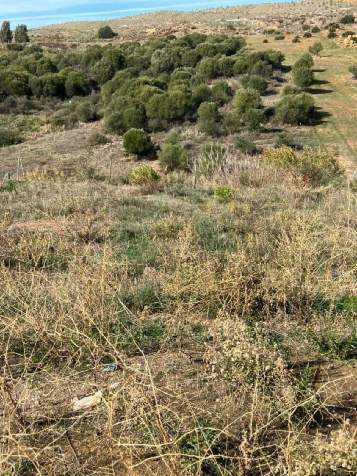 Kavel in Valle Romano in Valle Romano - foto 8