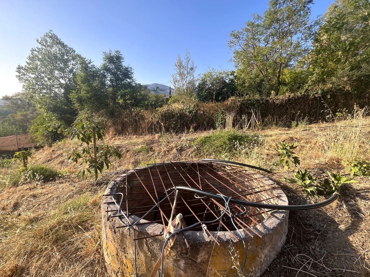 Kavel van 18.000 m² met avocado- en fruitboomgaard in Alhaurín el Grande in Alhaurín el Grande - foto 4