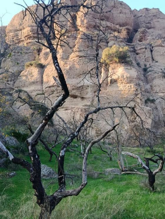 Kavel in Álora in Alora - foto 16