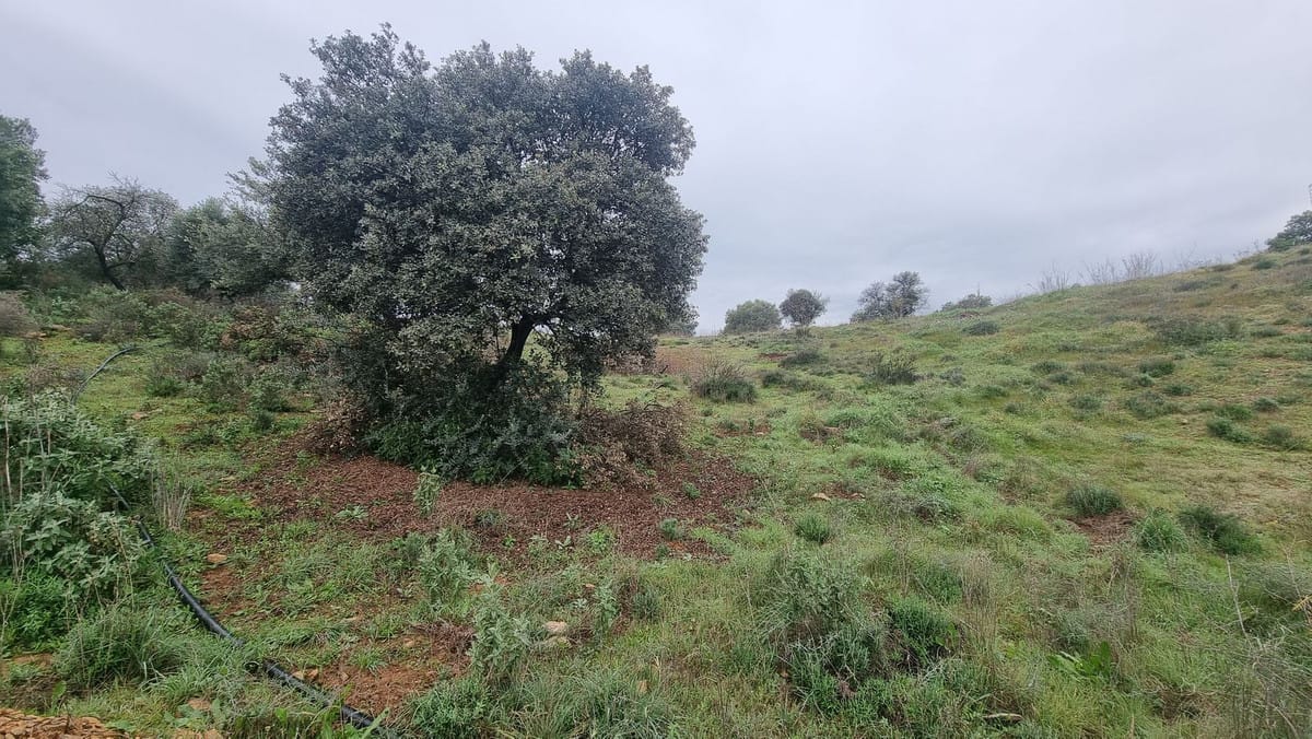 Kavel te koop in Coín, Málaga in Coín - foto 3