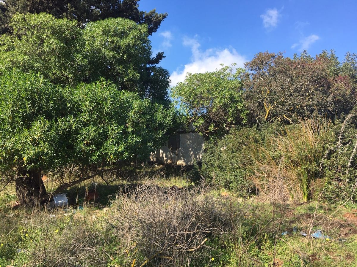 Perceel te koop in Manilva, Costa del Sol in Manilva - foto 4