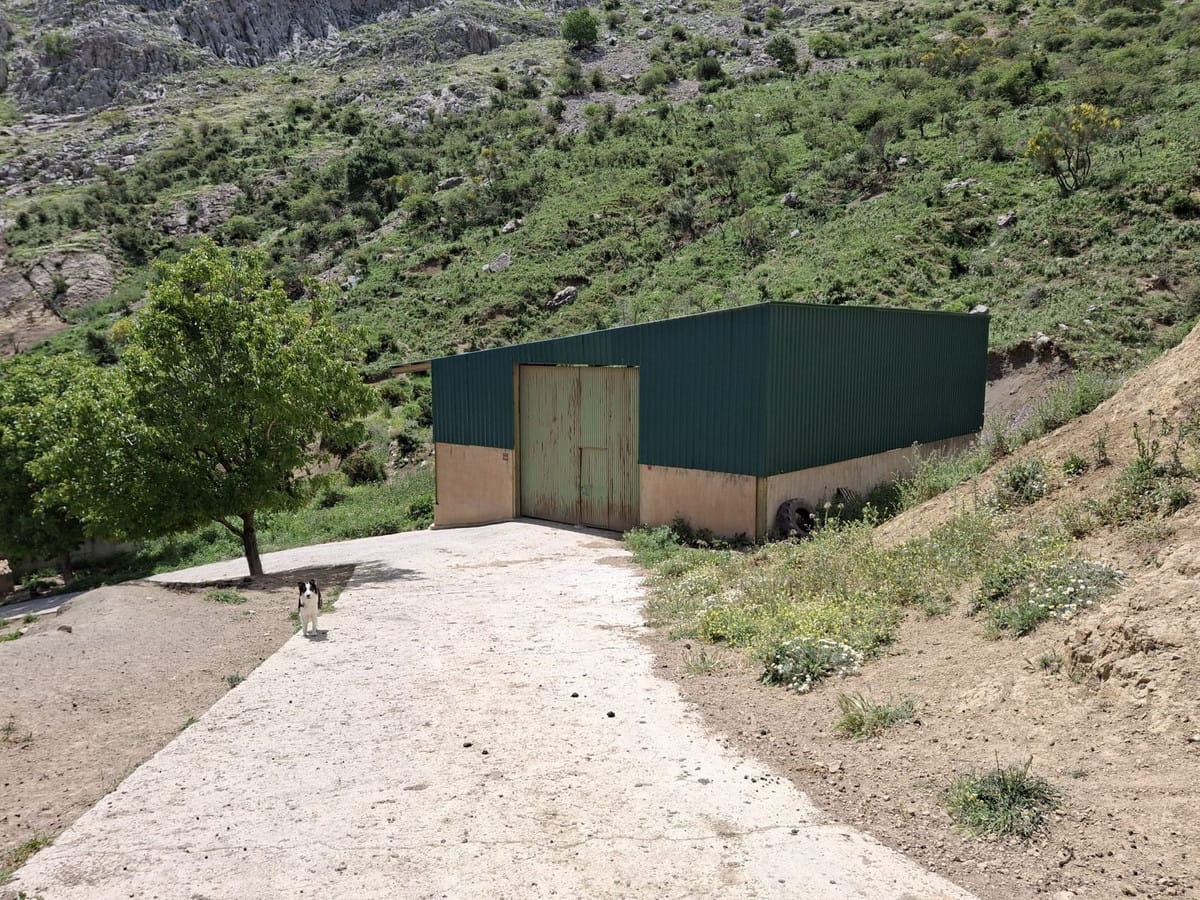 Kavel in Alfarnatejo (Montes de Málaga) – 68 hectare in Alfarnatejo - foto 18