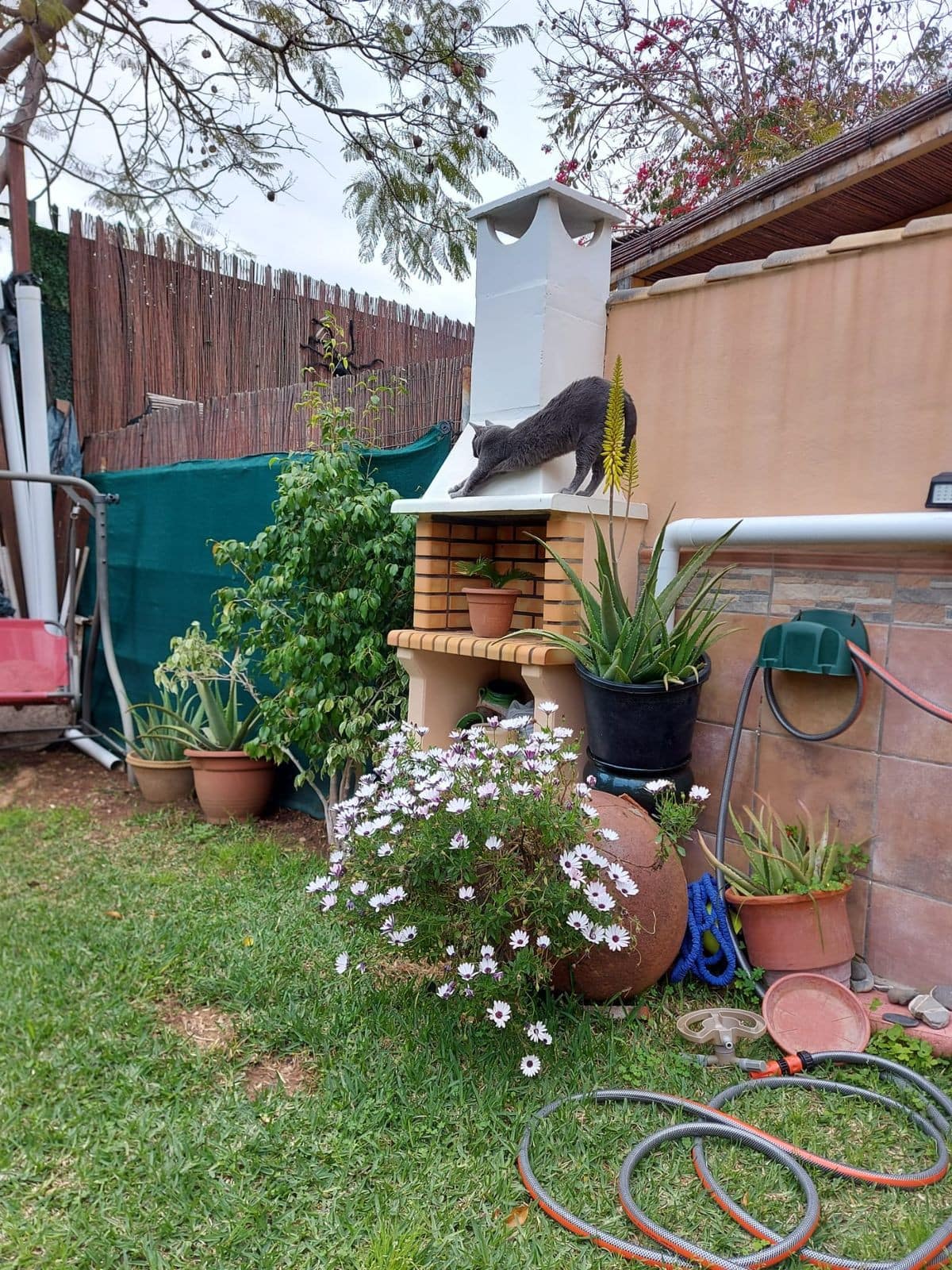Los Boliches – 3-slaapkamer stadswoning met gemeenschappelijk zwembad in Los Boliches - foto 16