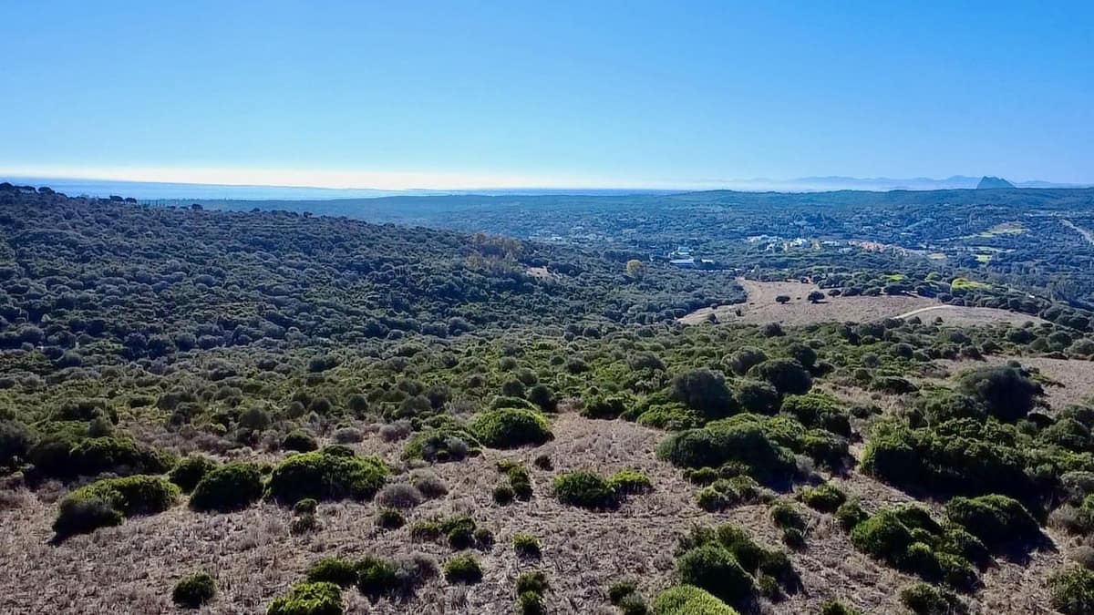 Uitzonderlijk landbouwlandgoed te koop in Sotogrande, Andalusië in Sotogrande - foto 4