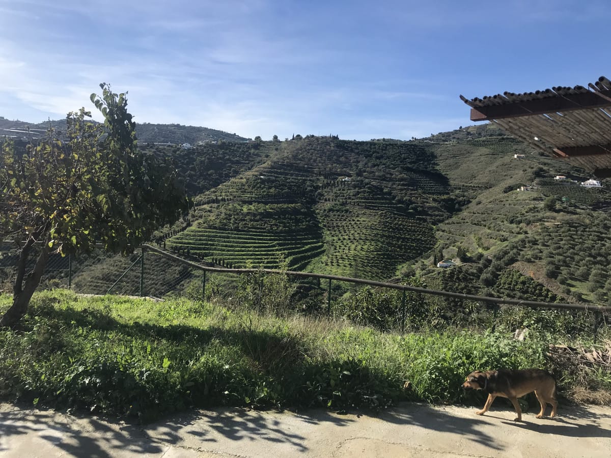 2-slaapkamer finca in Frigiliana in Frigiliana - foto 16