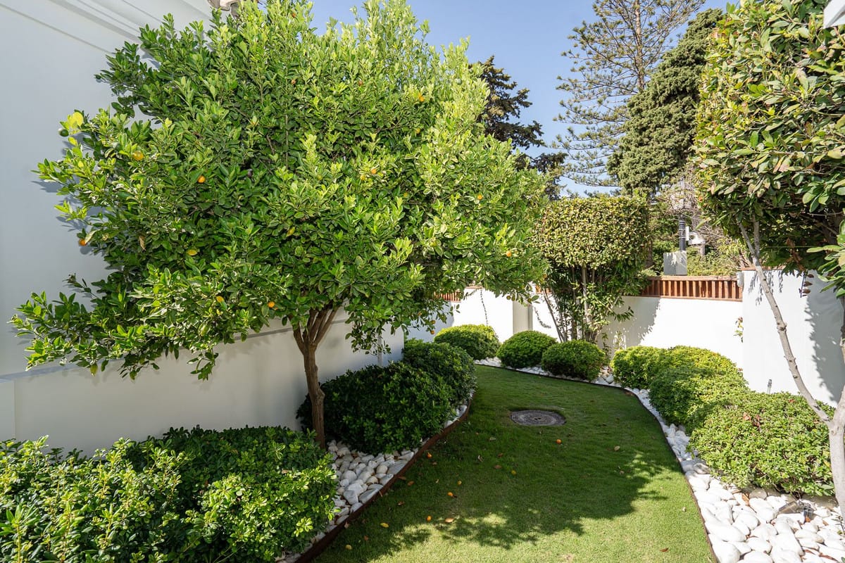 Zes-slaapkamer villa in Guadalmina Baja in Guadalmina Baja - foto 5
