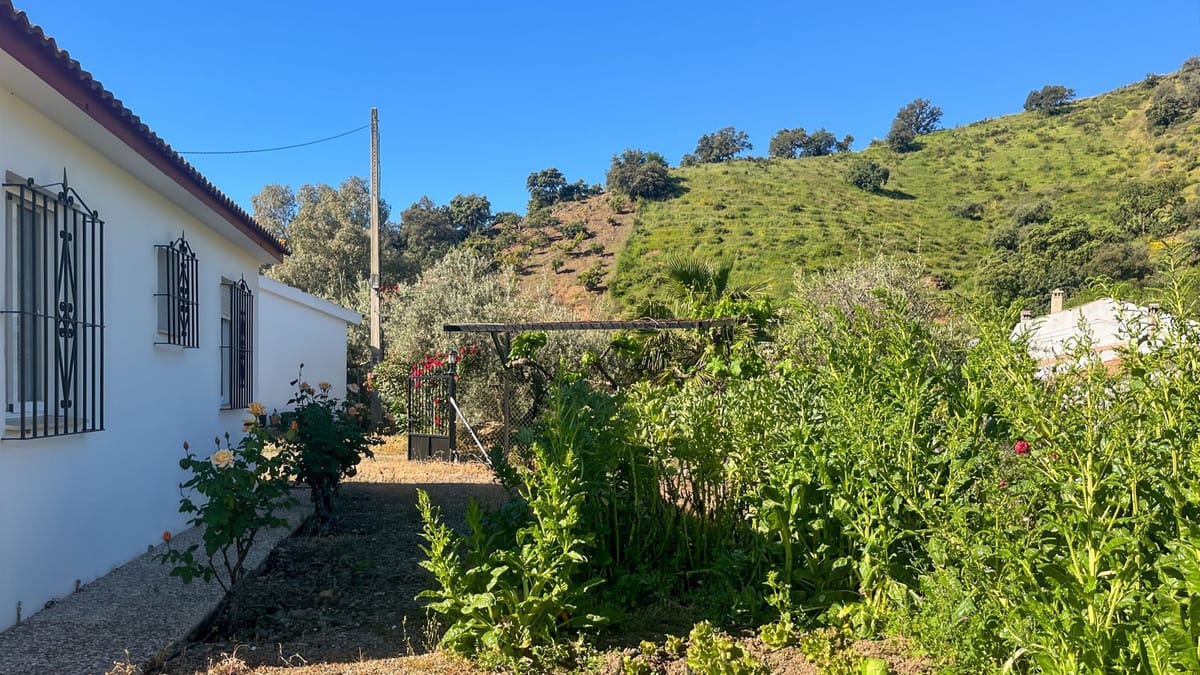 Finca met 4 slaapkamers nabij Comares in Comares - foto 10
