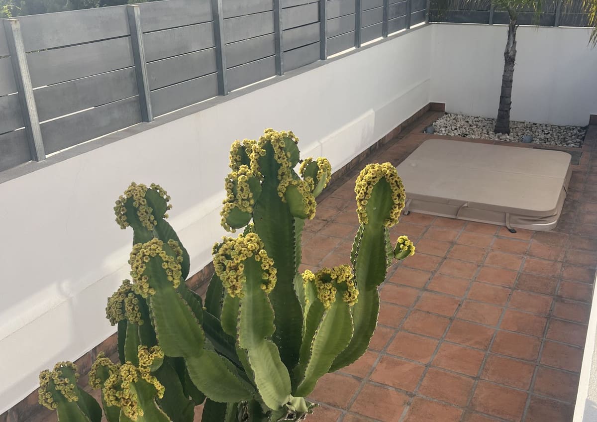 2-slaapkamerappartement in Estepona in Estepona - foto 6