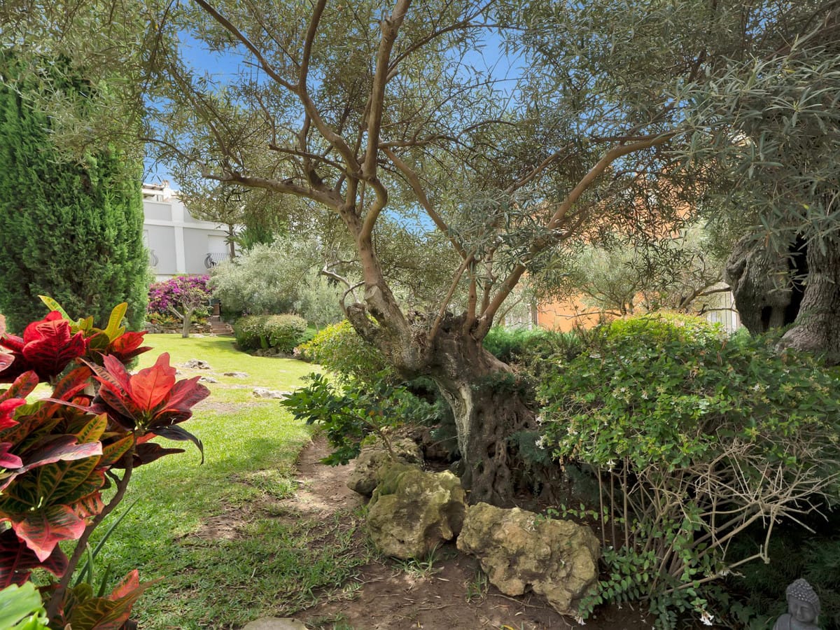 4-slaapkamerwoning in Bahía de Marbella in Bahía de Marbella - foto 3