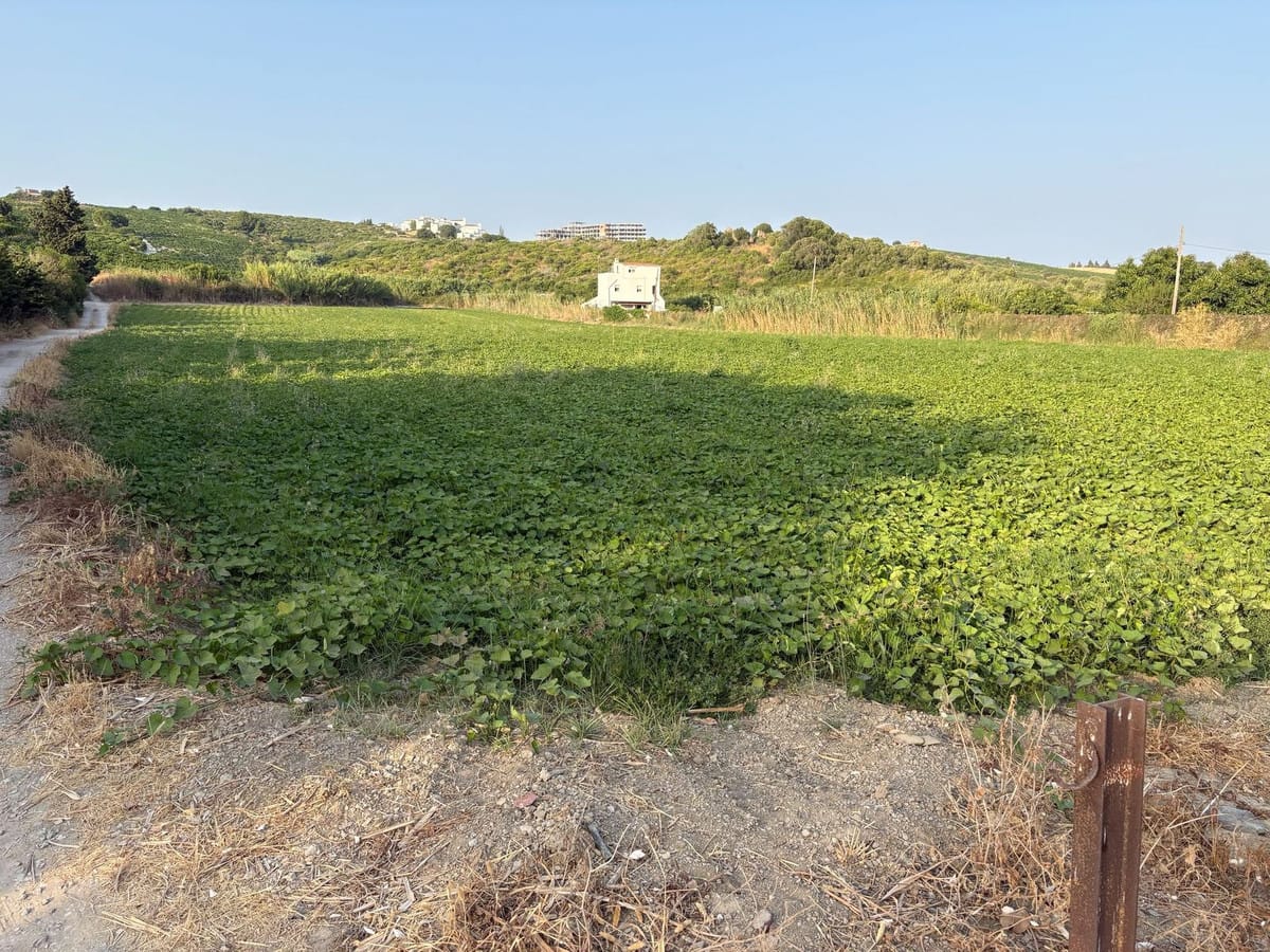 Plot in Casares in Casares - foto 2