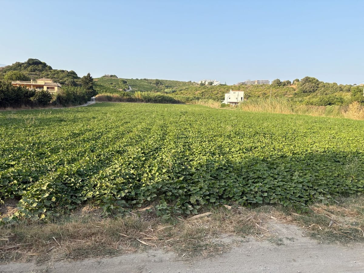 Plot in Casares in Casares - foto 3