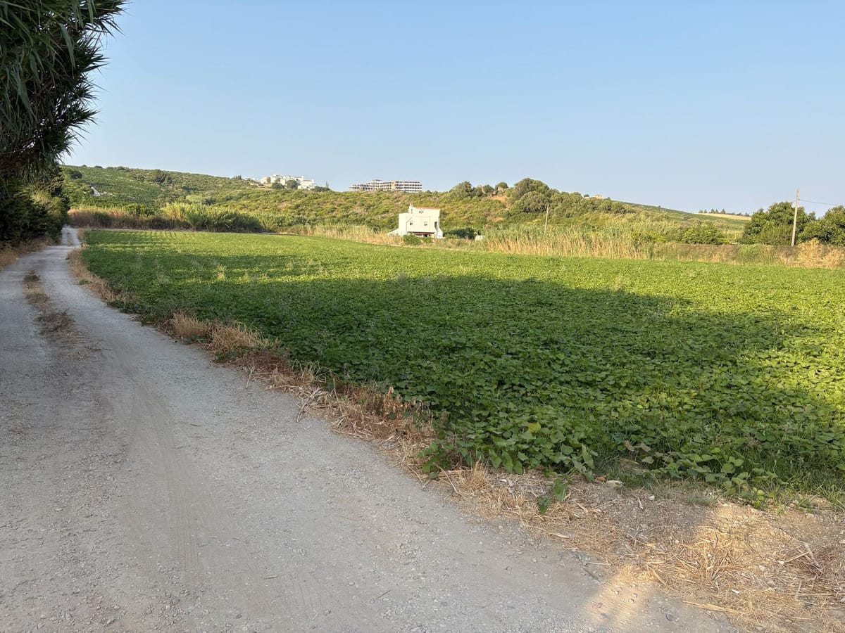 Plot in Casares in Casares - foto 4
